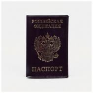 Обложка для паспорта , натуральная кожа, белый NONAME