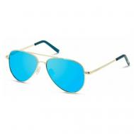 Солнцезащитные очки  PLD 8015/N J5G JY, золотой, синий Polaroid