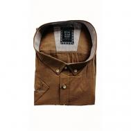 Рубашка , размер 9XL(76), коричневый Bettino