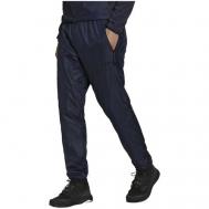 брюки , размер 52, синий Adidas