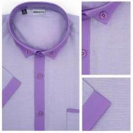 Рубашка , размер M, фиолетовый Bernitto