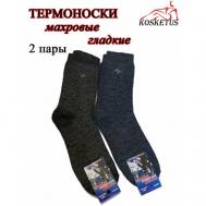 Мужские носки , 2 пары, классические, утепленные, размер 41/43, мультиколор KOSKETUS