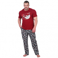 Комплект , футболка, брюки, короткий рукав, карманы, трикотажная, размер 50, бордовый Оптима Трикотаж