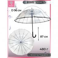 Зонт-трость , полуавтомат, купол 96 см., 16 спиц, чехол в комплекте, для женщин, черный Diniya
