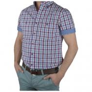 Рубашка , размер 50-52/L, мультиколор Маэстро