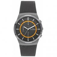 Наручные часы  Наручные часы  SKW6804, серый Skagen