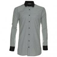 Рубашка , размер 46/S/178-186, серый Imperator