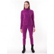 Костюм , олимпийка и брюки, повседневный стиль, прилегающий силуэт, утепленный, стрейч, размер 40-42, фиолетовый