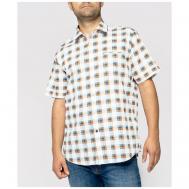 Рубашка , размер (50)L, мультиколор Pierre Cardin