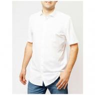 Рубашка , размер 40, белый Pierre Cardin