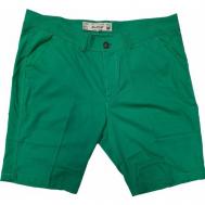 Шорты , размер 54, зеленый Surco Jeans