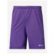 Волейбольные шорты , размер L, фиолетовый 2K Sport