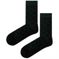Мужские носки , 1 пара, классические, размер 27, зеленый Dega