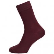 Мужские носки , 5 пар, 5 уп., размер 39-41, бордовый Greg