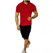 Комплект , шорты, футболка, размер 56, бордовый Нет бренда