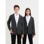 Школьный пиджак , однобортный, карманы, размер 152/12, серый Formaschool