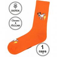 Носки , размер 36-41, оранжевый Kingkit
