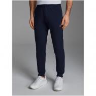 брюки для фитнеса , карманы, размер 46, синий Red-n-Rock's