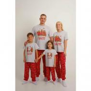 Пижама , футболка, брюки, короткий рукав, карманы, размер 42-44, серый, красный Счастливы вместе