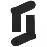 Мужские носки , 1 пара, классические, размер 27 (42-43), черный БРЕСТСКИЕ