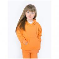 Толстовка  детская, капюшон, размер 86, оранжевый Bambinizon