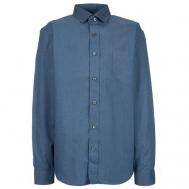 Школьная рубашка , прямой силуэт, на пуговицах, длинный рукав, однотонная, размер 152-158, синий, серый Tsarevich