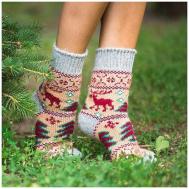 Носки , размер 38-40, красный, коричневый, зеленый, бежевый, мультиколор Бабушкины носки