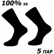 Мужские носки , 5 пар, классические, размер 27, черный Master-Pro