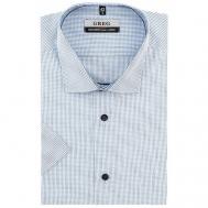 Рубашка , размер 174-184/40, голубой, белый Greg