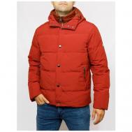 Куртка , мужская, демисезон/зима, силуэт прямой, размер 58, красный Pierre Cardin