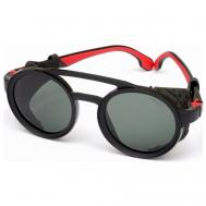 Солнцезащитные очки , круглые, оправа: пластик, поляризационные, с защитой от УФ, черный Carrera