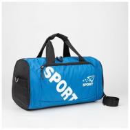 Сумка спортивная сумка 45 см, плечевой ремень, голубой Городок