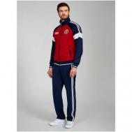 Костюм , олимпийка и брюки, силуэт прямой, карманы, подкладка, размер 46, красный Addic