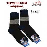 Мужские носки , 2 пары, классические, утепленные, размер 44/46, мультиколор KOSKETUS