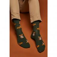 Мужские носки , размер 40/44, зеленый, коричневый Красная Жара