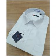 Рубашка , размер 3XL(64), белый TONELLI