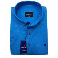 Рубашка , размер 3XL(64), голубой CASTELLI