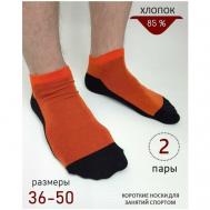 Носки , 2 пары, размер 48-50, черный, оранжевый Biz-one
