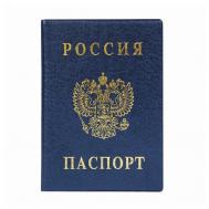 для паспорта , синий DPSkanc