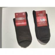 Мужские носки , 2 пары, антибактериальные свойства, воздухопроницаемые, износостойкие, размер 27, черный Караван