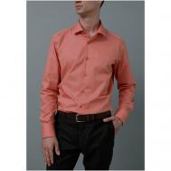 Рубашка , размер 43 176-182, оранжевый Allan Neumann