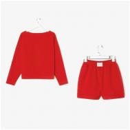 Костюм , свитшот и шорты, спортивный стиль, свободный силуэт, размер 48-50, красный Mist