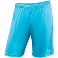 Шорты  Camp Classic Shorts, размер L, голубой, белый Jogel