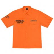 Рубашка , размер 3XL, оранжевый Lancia
