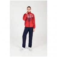 Костюм , олимпийка и брюки, силуэт полуприлегающий, размер L, синий, красный Forward