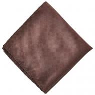 Нагрудный платок , для мужчин, коричневый Starkman