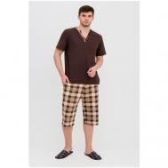 Комплект , футболка, бриджи, карманы, размер 50, коричневый Modellini
