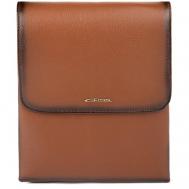 Сумка  планшет  повседневная, натуральная кожа, внутренний карман, коричневый Giorgio Ferretti