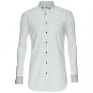 Рубашка , размер 52/L/178-186, серый Imperator
