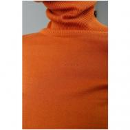 Водолазка , длинный рукав, прилегающий силуэт, размер S, оранжевый ZNWR